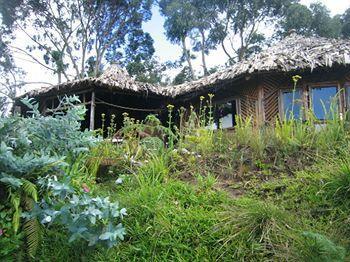 Mount Kilimanjaro View Lodge Моші Екстер'єр фото