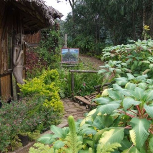 Mount Kilimanjaro View Lodge Моші Екстер'єр фото