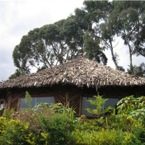 Mount Kilimanjaro View Lodge Моші Екстер'єр фото