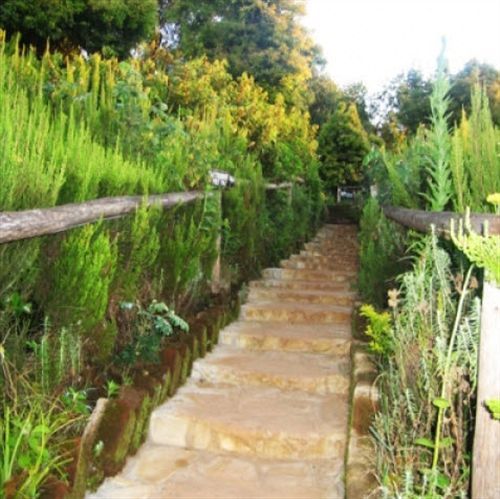 Mount Kilimanjaro View Lodge Моші Екстер'єр фото